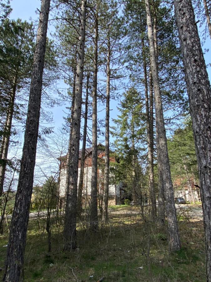 Miris Tisine Apartment